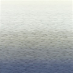 RX 4000 Stream Privacy Curtain  Fabric